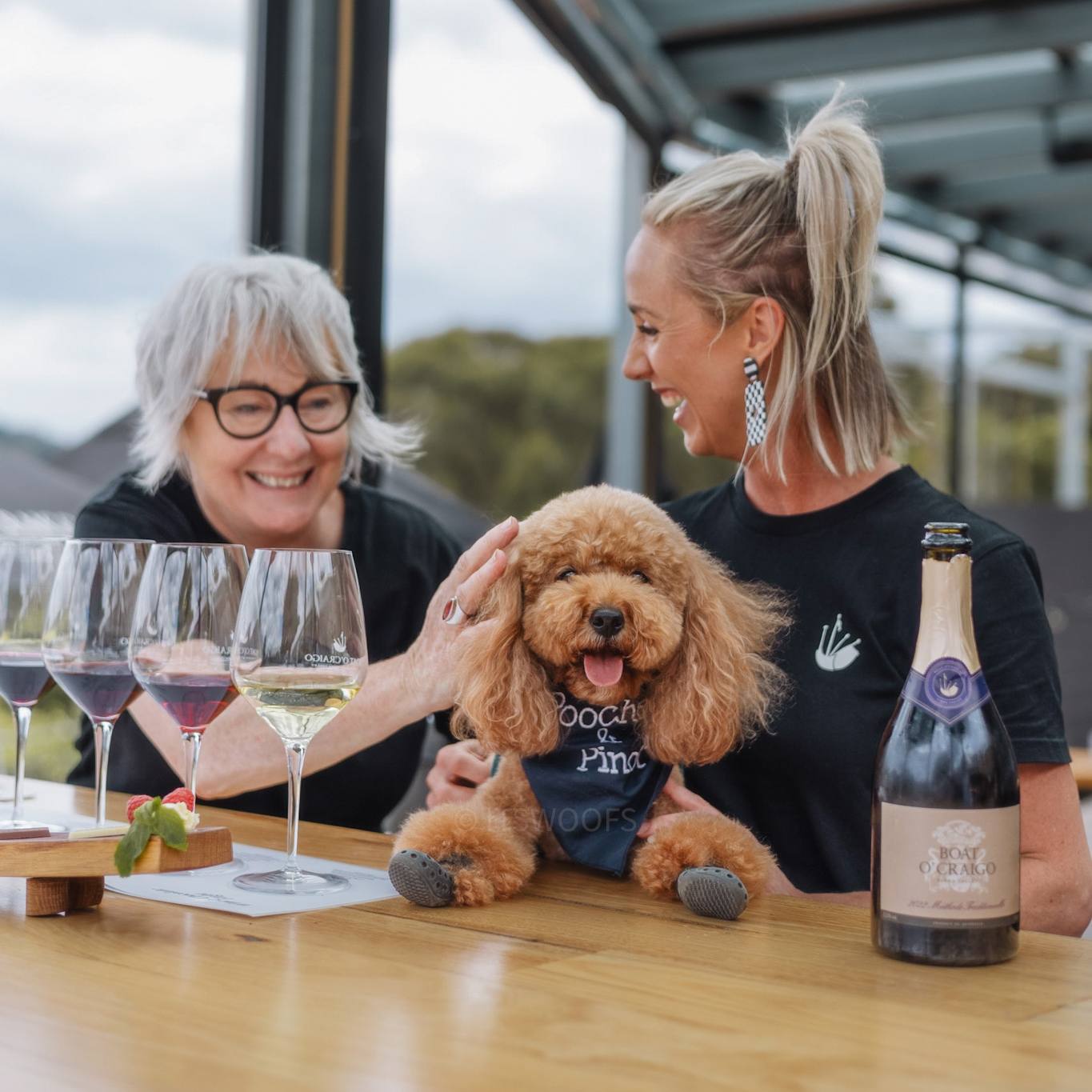 The Best Dog-Friendly Wineries in the Yarra Valley