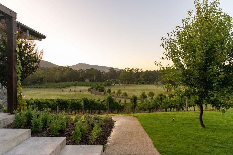 Boat O'Craigo Selected in Top 10 Yarra Valley Small Wineries