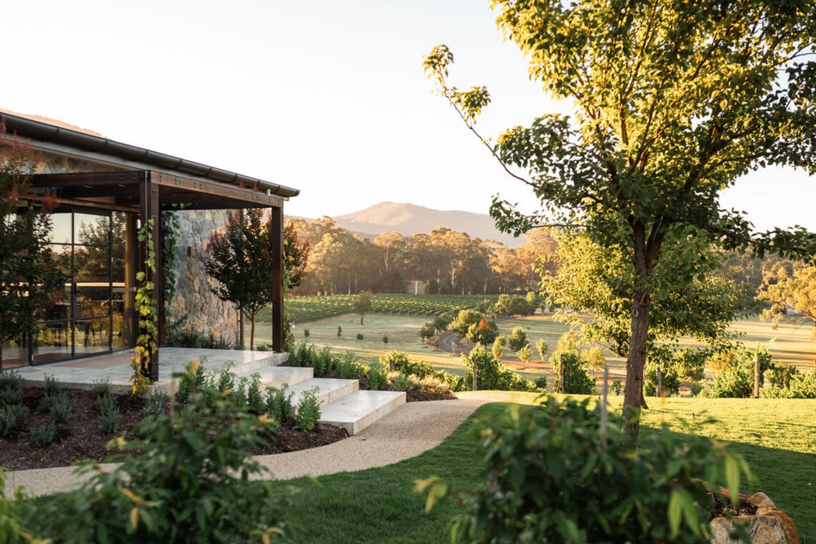 Casual dining among the vines.