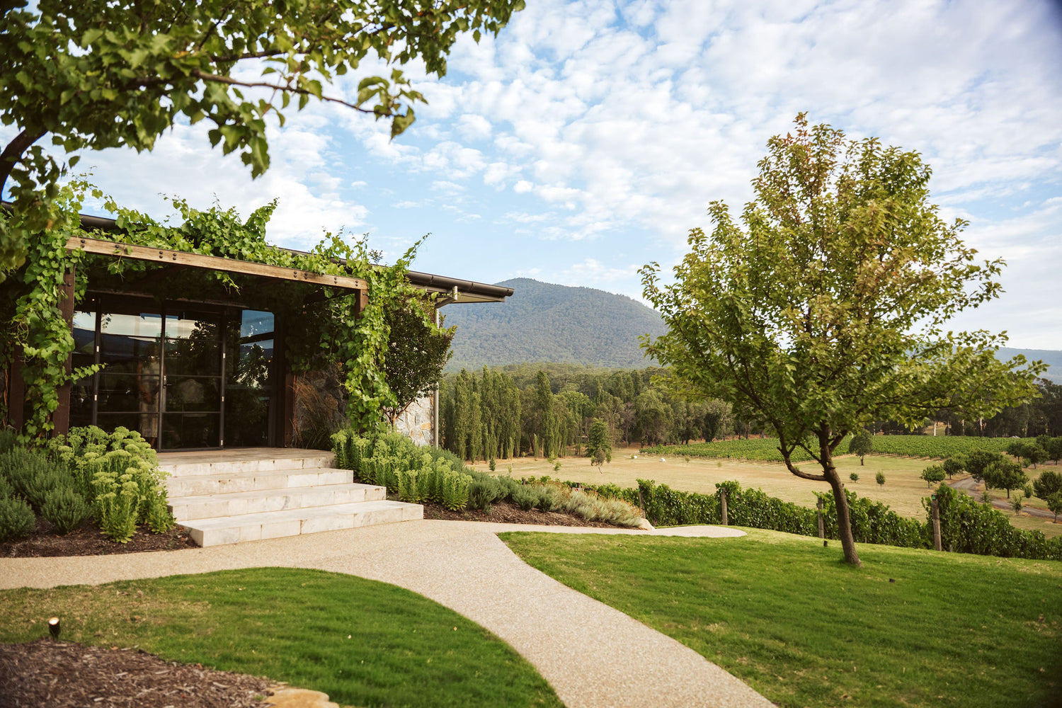Come and meet us in the Yarra Valley.
